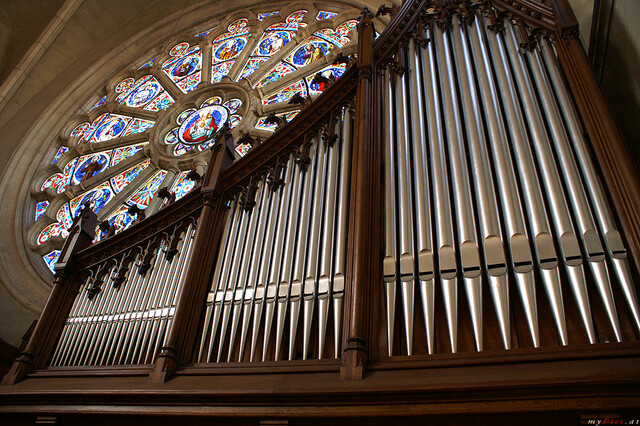 Orgel in der Herz-Jesu Kirche im Fotoalbum Herz-Jesu Kirche