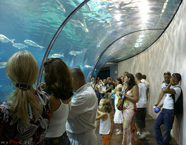 Aquarium Besucher im Fotoalbum L ' Aquarium de Barcelona