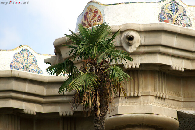 Park Güell Palme im Fotoalbum Antoni Gaudi