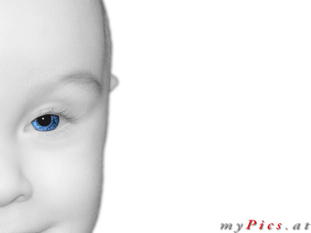 Baby Blue Eyes im Fotoalbum Wallpaper Bilder