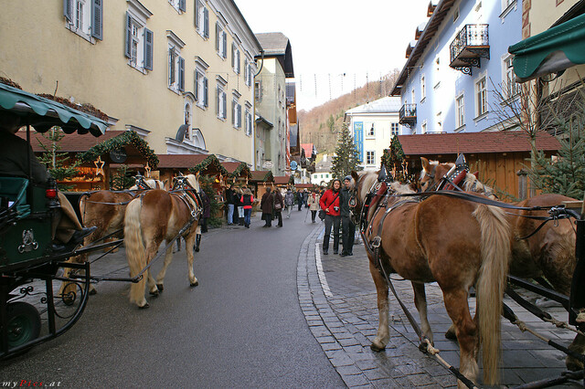 Pferdekutschen in St. Wolfgang im Fotoalbum St. Wolfgang am Wolfgangsee