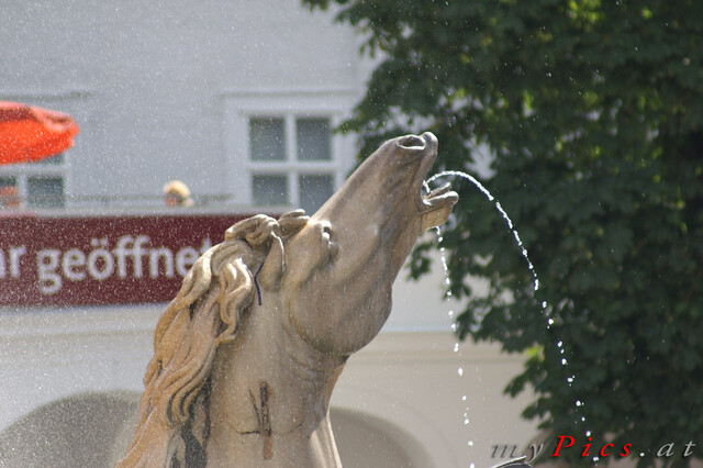 Wasserspeier mit Pferdekopf im Fotoalbum Salzburg Stadt
