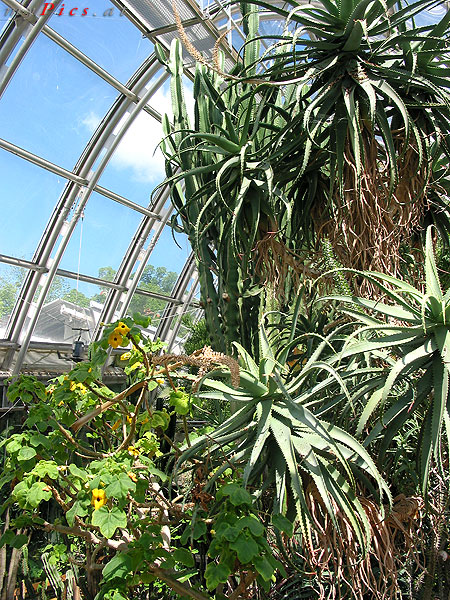 Botanischer Garten Ausflugsziele In Graz Fotos