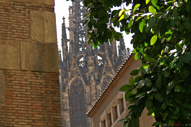 Catedral de Barcelona im Fotoalbum Gotische Viertel