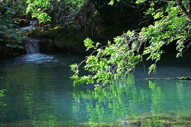 Wasserlauf im Fotoalbum Krka Wasserfälle - Nationalpark