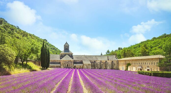 Provence Lavendel Landschaft Kultur